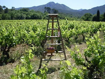 B&B Domaine Le Clos Du Pavillon Brignoles Francja